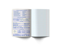 Светоч 48Т1 Тетрадь со справочным материалом Без фильтров, A5 48 л. на скобе 60 г/кв.м , белизна 90 % 10 шт. , клетка 00839 Алгебра  фото 4