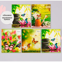 Набор тетрадей 36 листов в клетку, Calligrata «Бабочки», серые листы, 5 штук