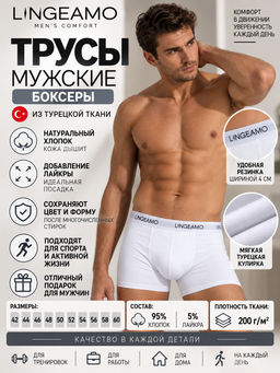 Трусы мужские боксеры LINGEAMO белые ЛБ-03 (1)