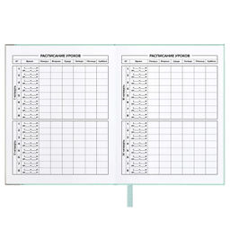 Дневник школьный арт. 68760 / 15 ПЛОНЖЕ МЯТНЫЙ