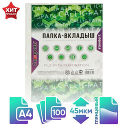 Файл - вкладыш Calligrata, А4, 45 мкм, глянцевый, вертикальный, 100 штук