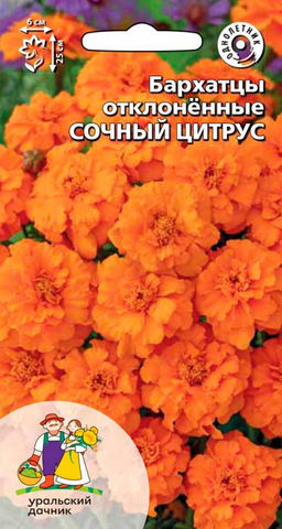 Бархатцы СОЧНЫЙ ЦИТРУС Тип отклонённые