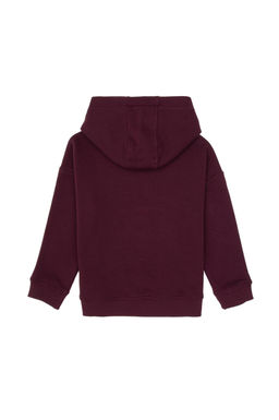 Erkek _ocuk Bordo Kap__onlu Basic Sweatshirt - U.s. polo assn фото 2