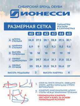 П/сапоги - Ионесси фото 3