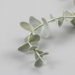 Цена за 5 шт. Декор для творчества "Веточка эвкалипта" 28 см