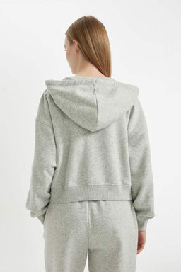 Толстовка Cool Standard Fit с капюшоном на молнии - Defacto фото 6