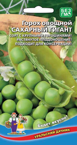 Горох САХАРНЫЙ ГИГАНТ  Сорт с крупными горошинами! Растянутое плодоношение! Подходит для консервации!