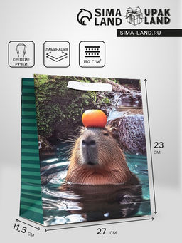 Пакет подарочный вертикальный «Капибара», 23×27×11.5 см