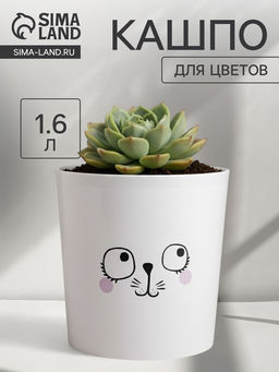 Кашпо для цветов «Мордочка», 1.6 л, d=14 см, h=14 см, пластиковое