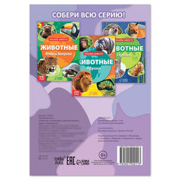 Цена за 2 шт. Обучающая книга «Животные Северной Америки», 20 стр.