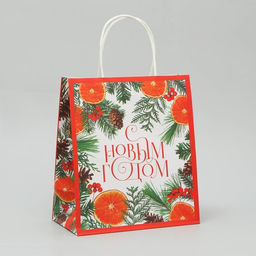 Пакет крафтовый Новогоднее чудо, 22 25 12 см
