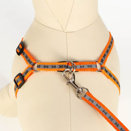 Комплект светоотражающий Косточки, ошейник 120 х 1 см, ОШ 24-40 см, ОГ 24-40 см оранжевый - Пижон фото 5