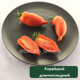 Корейский длинноплодный