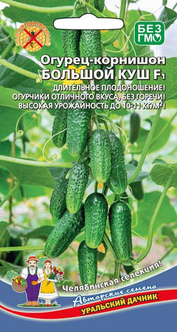 Огурец БОЛЬШОЙ КУШ F1 Длительное плодоношение! Огурчики отличного вкуса, без горечи! Урожайность высокая!