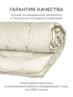 Одеяло Cloud Champagne 200х220см теплое 300г/м2 ЕС-6053 - Espera фото 5