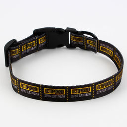 Ошейник Осторожно, застёжка - фастекс, 2 см 25-40 см - Пушистое счастье фото 4