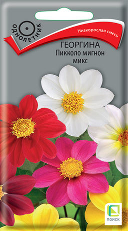 Георгина Пикколо мигнон микс (ЦВ) ("1) 0,3гр.
