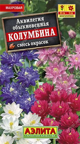 Аквилегия Колумбина, смесь сортов