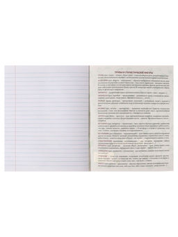 Цена за 5 шт. Предметная тетрадь по литературе Calligrata TOP «Аниме», 48 листов, в линейку, со справочным материалом, обложка из мелованного картона, блок офсет