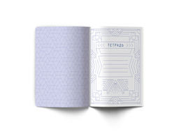 Светоч 48ТПСК5_126_2_1 Тетрадь со справочным материалом Линия успеха, софт тач ламинация + тиснение фольгой, A5 48 л. на скобе 65 г/кв.м , белизна 100 % 10 шт. , клетка 000574 Геометрия фото 4