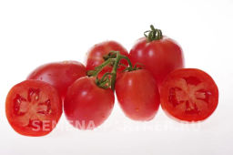 Томат Синдбад - Партнер фото 3