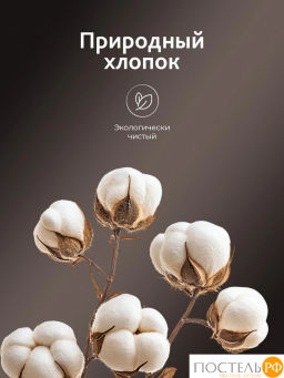 Подушка стеганая CASSIA АЛЬПИЙСКИЙ ЛЕН хлопок/лен/микровол.  фото 8
