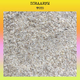 Псиллиум Индия FOODVILL