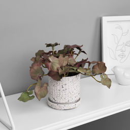 Искусственный цветок в горшке Филодендрон селло ультра (мягкий лист), 15?7 см, МИКС