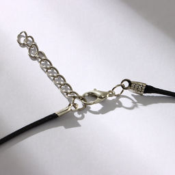 Кулон «Коготь орла», белый в серебре на чёрном шнурке, 45 см