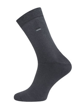 Цена за 2 пары. Носки мужские Брестские НОСКИ МУЖСКИЕ ARCTIC 2420 (махровые)