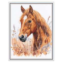 Набор для вышивания PANNA J-7528 В степи среди трав 26.5 х 33 см