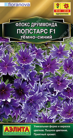 1830A Флокс друммонда Попстарс F1 темно-синий 5шт