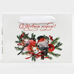 Пакет подарочный с широким дном Снегири, 20 14 13.2 см - Дарите счастье фото 10