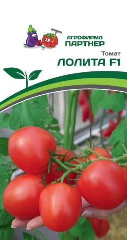 Томат Лолита