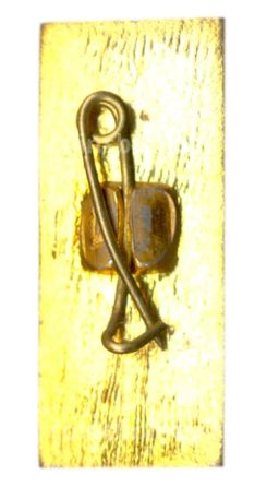 Значок Сочи