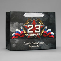 Цена за 2 шт. Пакет подарочный ламинированный, упаковка, «23 февраля», MS 23×18×10 см