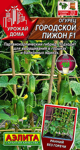 Огурец Городской пижон F1 (2030