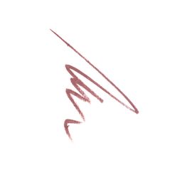 Ninelle Карандаш для губ устойчивый Pasion, 226 капучино  фото 3