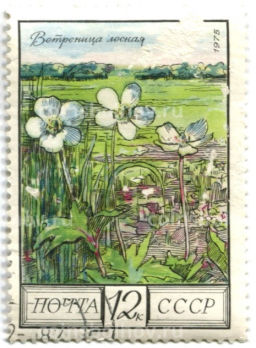 Марка Ветреница лесная 1975 год