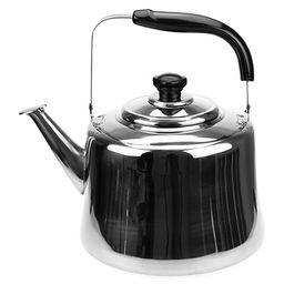 "Сосново" Чайник из нержавеющей стали 7л, д24,5см h23см, со встроенным в крышку свистком, подвижная бакелитовая ручка, цветная коробка (Китай)