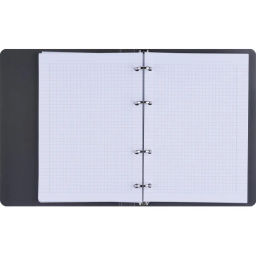 Тетрадь общая, BS, А5, 120л., клетка, кольца. Botanica, эвкалипт N4234