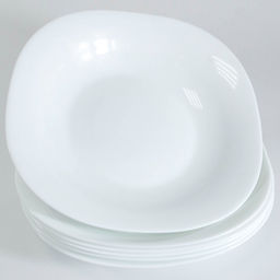 90119-225 Набор тарелок 6пр 25х25х7,5 225мм LR (х6)