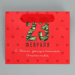 Цена за 3 шт. Пакет подарочный ламинированный, упаковка, «С 23 февраля», S 15×12×5.5 см