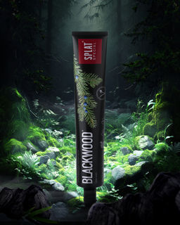 Special BLACKWOOD / ЧЕРНОЕ ДЕРЕВО зубная паста, 75 мл
