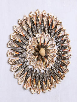 Панно «Композиция из ракушек», 45×3×45 см