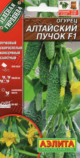 Огурец Алтайский пучок F1 10шт. (Аэлита)