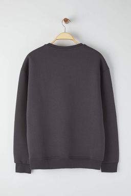 Antrasit Bisiklet Yaka Oversize/Genis Kesim Ici Polarl? Penguen Nak?s Sweatshirt TMNAW24SW00064