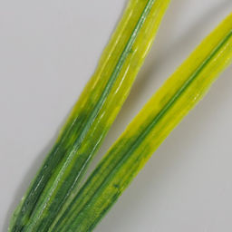 Искусственное растение для творчества «Травинки», набор 12 шт., 22 см