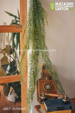 179 Папоротник свисающий 120 см. - Без тм фото 3