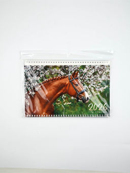 Календарь квартальный 2026 «Жеребенок»
